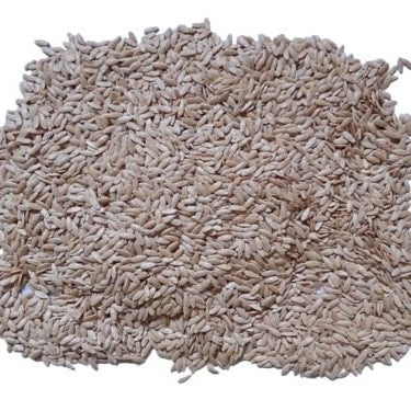 Soubhagya Cucumber Seeds (Premium Vellari seeds) - Mannuthy Variety - 4 Grams packet