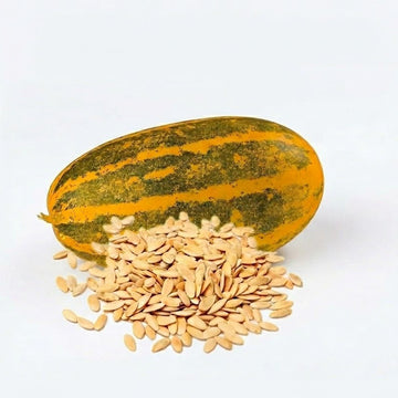 Soubhagya Cucumber Seeds (Premium Vellari seeds) - Mannuthy Variety - 4 Grams packet