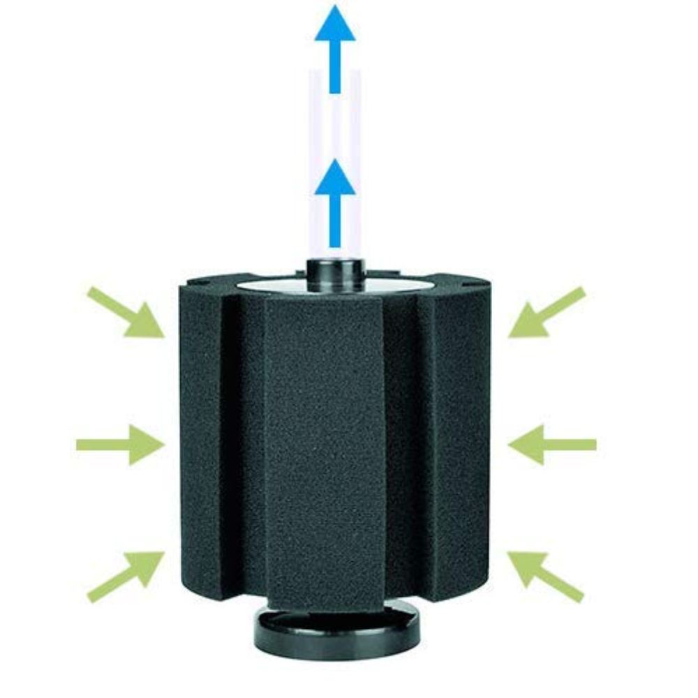TAIYO-380 Sponge Filter - 3
