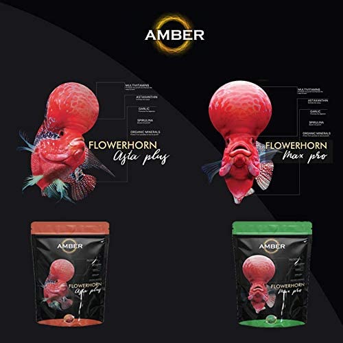 TAIYO Amber Asta Plus Flowerhorn Food 100 Grams