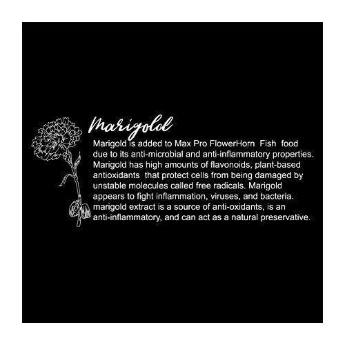 TAIYO Amber Asta Plus Flowerhorn Food 100 Grams - 3