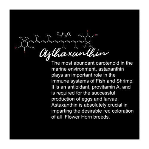 TAIYO Amber Asta Plus Flowerhorn Food 100 Grams - 4