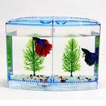 TAIYO Betta House Double for Fighter Fish