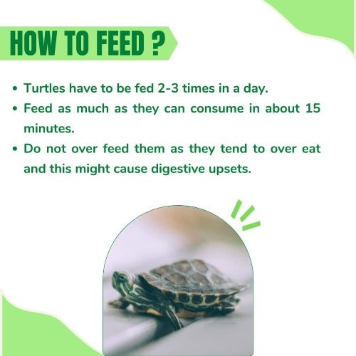 Taiyo Pluss Discovery Premium Turtle Food 250 grams pouch - 4