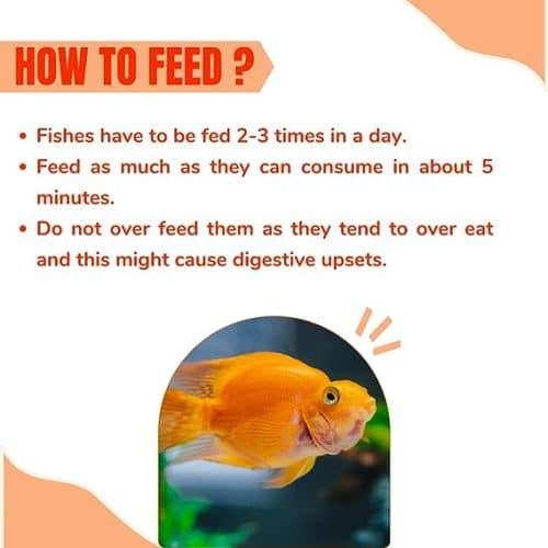 Taiyo Pluss Discovery fish food 1.2mm size 1 kg Pouch - 5