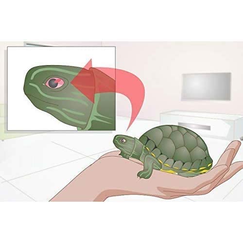 Taiyo Turtle Eye Drops 50 ml - 5