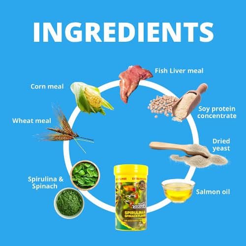 Taiyo Plus discovery Spirulina and Spinach flakes 25 gram - 4