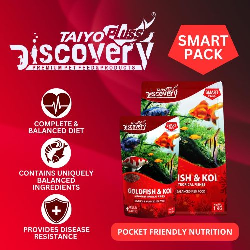 Taiyo pluss discovery Goldfish and Koi Premium fish food 100 g / 1.2 mm - 5