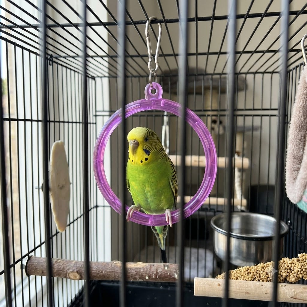 Translucent Bird Swing Ring with Metal Clip (10cm)