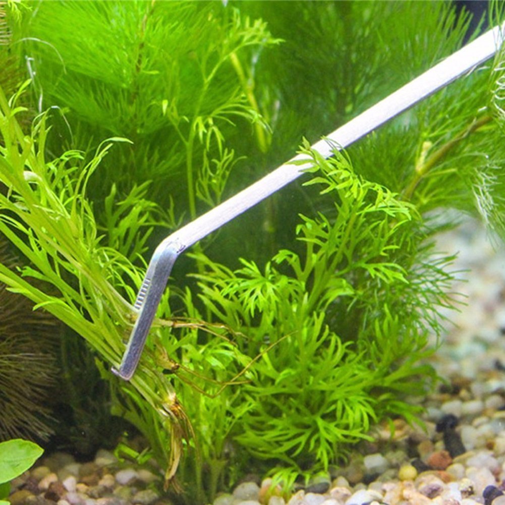 Curved Tweezer 27 cm for Precision Aqua scaping - Plant Stainless Clamper - 2