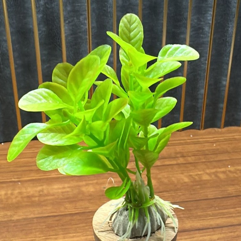 Vibrant Green Artificial Plastic Plant (4 Inch) Aquarium Decor – Model TY29-I