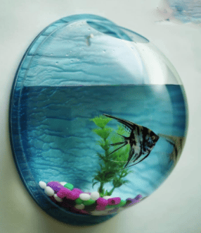Wall Aquarium Bowl 12 Inch Size for Plants and Fish