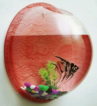 Wall Aquarium Bowl 15 Inch Size for Plants and Fish
