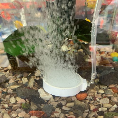 White Disc Air Stone ASW-20050 for Aquariums - 5 cm size - 2