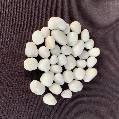 White Rodi Polished Pebble 1 KG Stones for Aquarium Fish Tank - 2