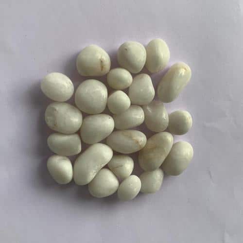 White Rodi Polished Pebble 1 KG Stones for Aquarium Fish Tank - 5