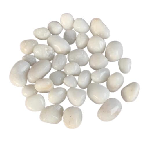 White Rodi Polished Pebble 1 KG Stones for Aquarium Fish Tank