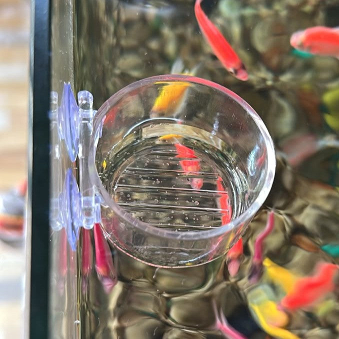 Transparent Acrylic Worm Feeding Cup for Aquariums