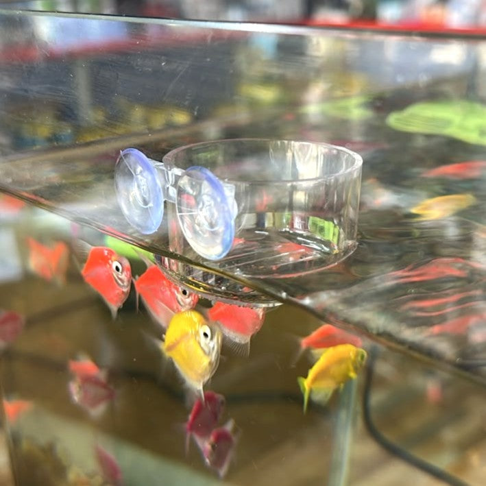 Transparent Acrylic Worm Feeding Cup for Aquariums