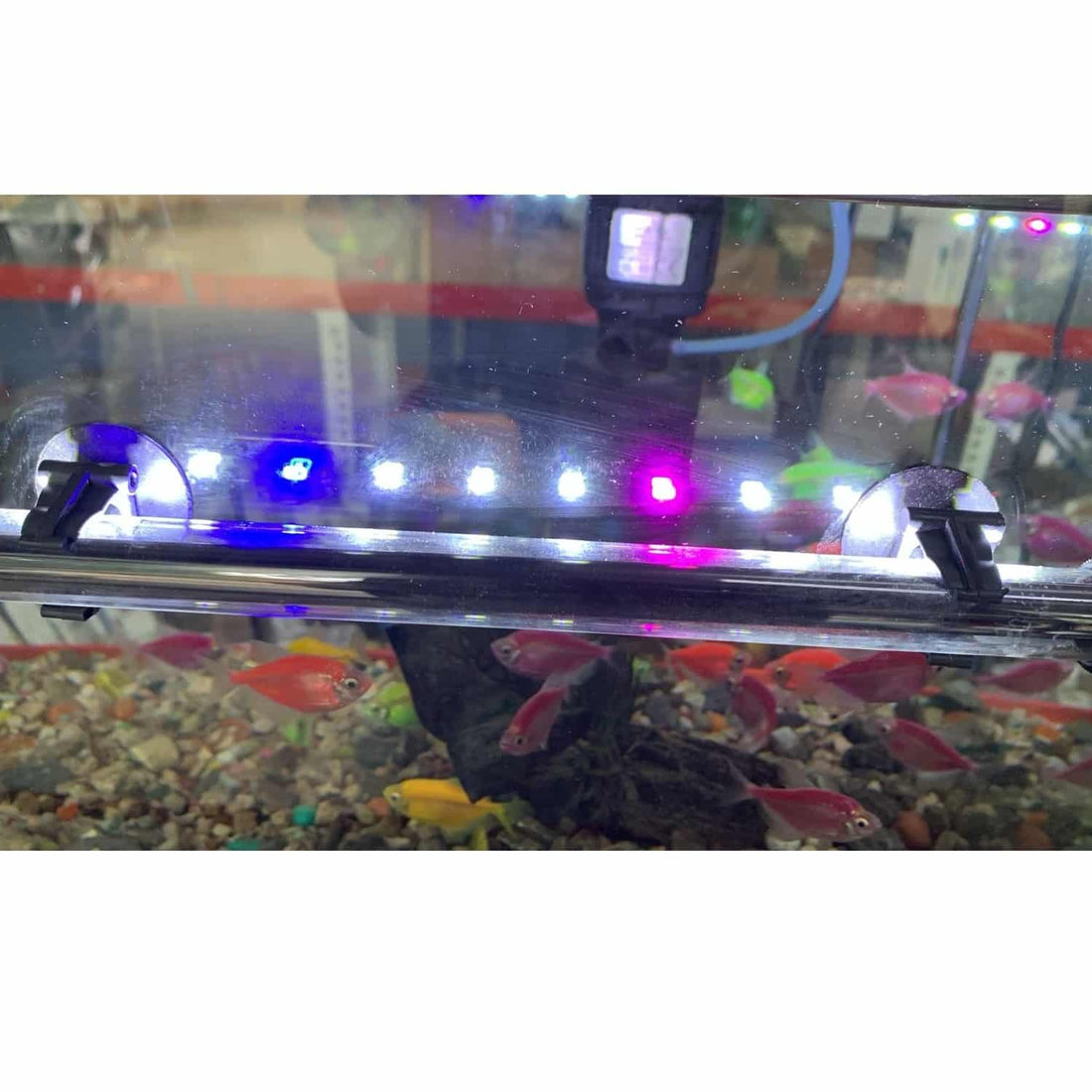 XILONG 30E Submersible LED Lamp for Aquarium