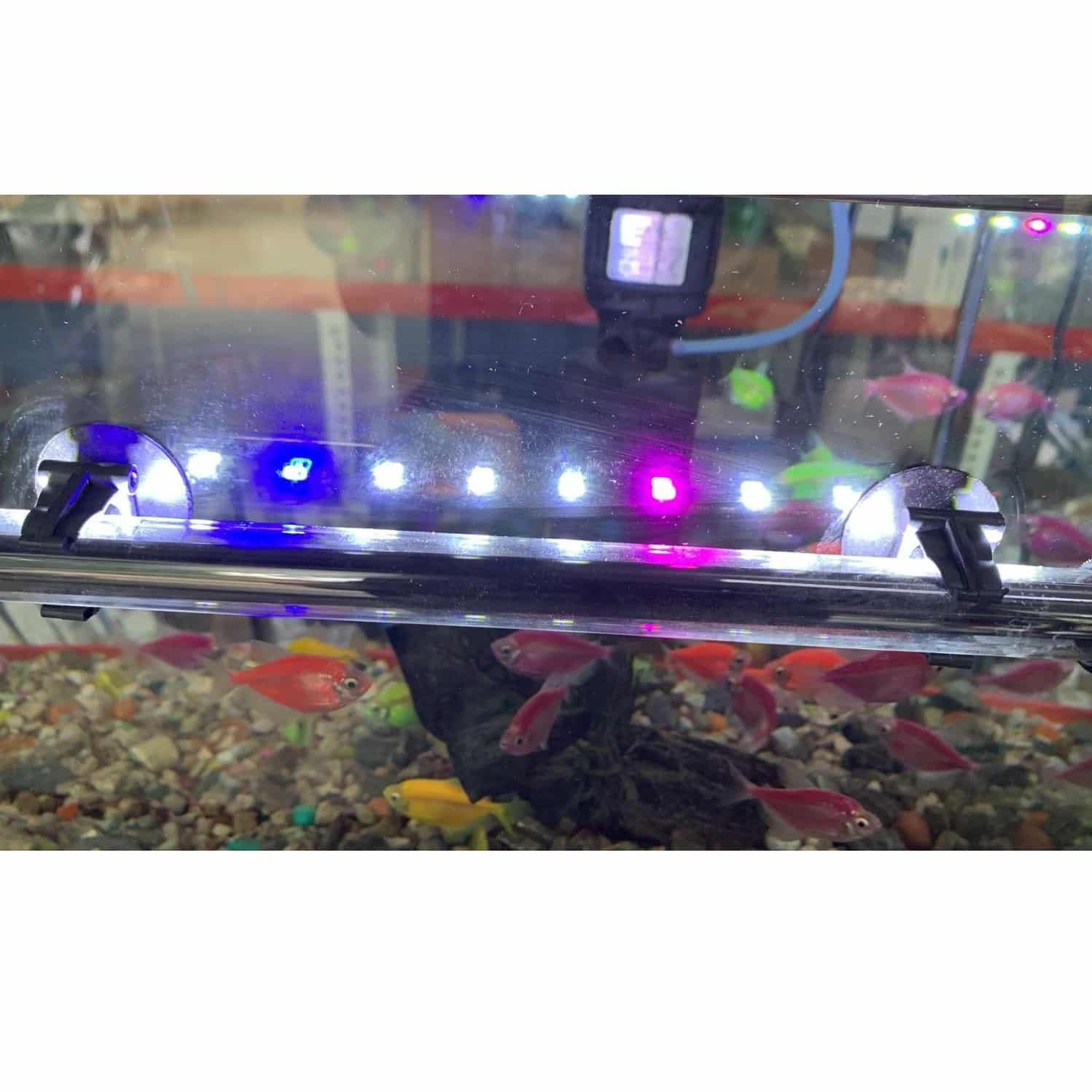 XILONG 30E Submersible LED Lamp for Aquarium - 2