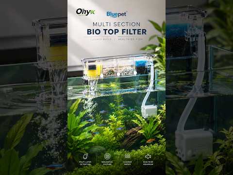 Blue Pet BL-773W Multi-Section Bio Top Filter (10W, 700L/H)