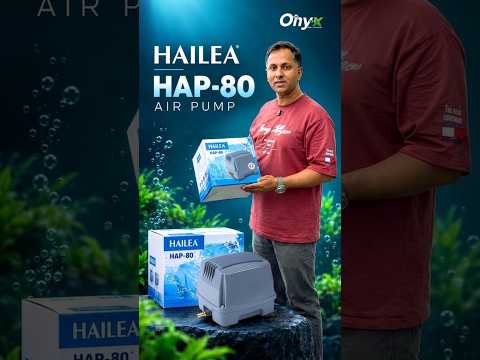 HAILEA HAP-80 Air Pump