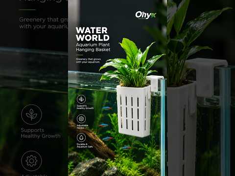 Water World Aquarium Plant Hanging Basket – with Holder