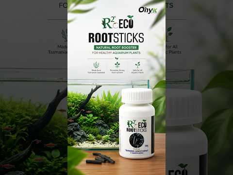Aquatic Remedies R²O Eco Root Sticks (50g) – Tasmanian Seaweed Plant Fertilizer