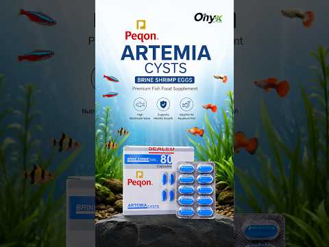 Peqon Artemia Cysts (Brine Shrimp Eggs) - 10 Capsules Strip