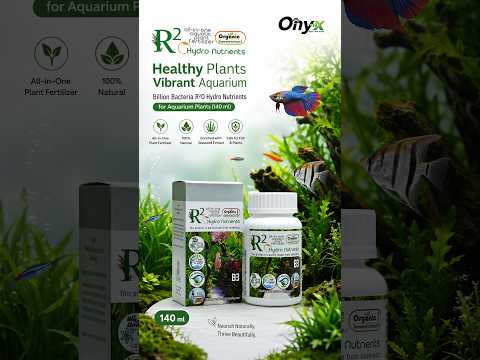 Billion Bacteria R²O Hydro Nutrients for Aquarium Plants (140 ml)