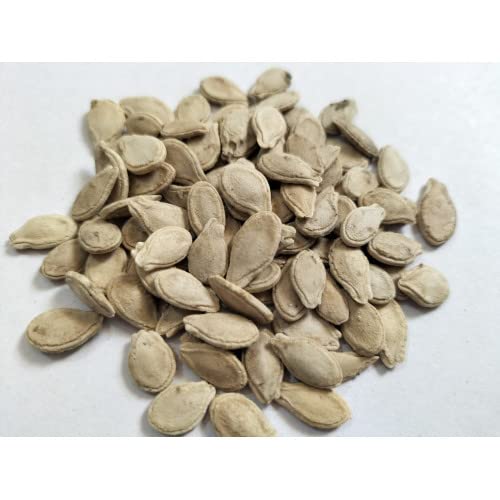 Thara Ash Gourd (Kumbalam) Seeds - 60 Premium Mannuthy Variety Seeds