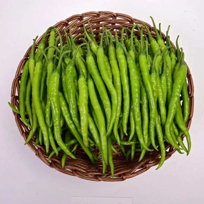 Ujwala Chilli Seeds (Mannuthy Variety) - 2.5 Grams/pack