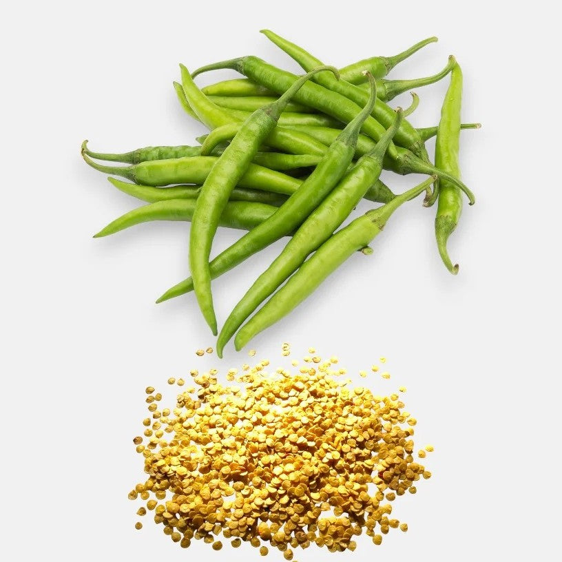 Ujwala Chilli Seeds (Mannuthy Variety) - 2.5 Grams/pack