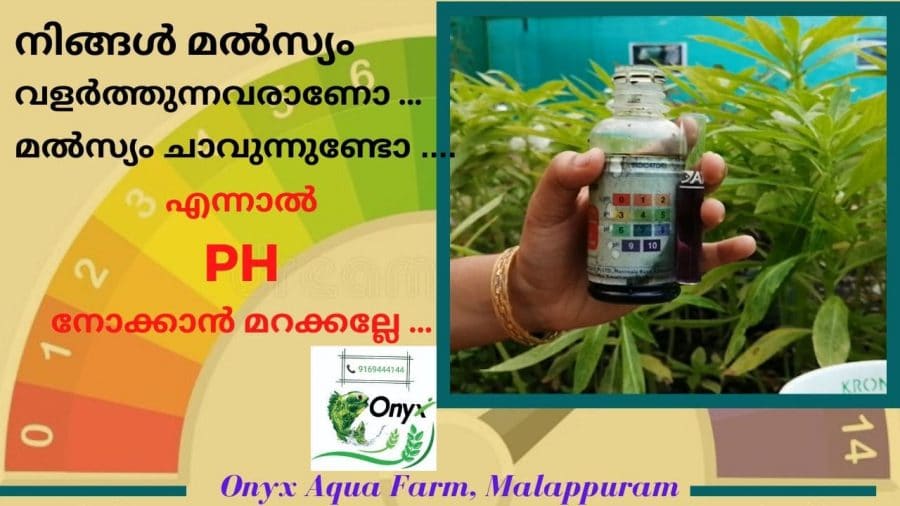 How to test and control PH of water in Fish farming | PHഎന്താണ് |Kerala Fish Farming Malayalam 2020