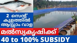 Subsidy for Fish farming in Kerala