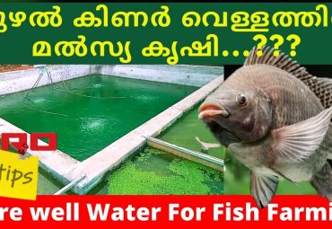 Bore well water for Fish Farming