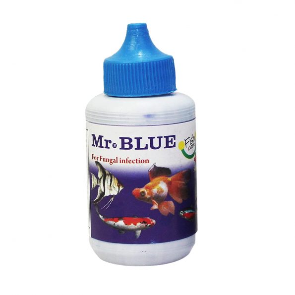 MR.BLUE – 2