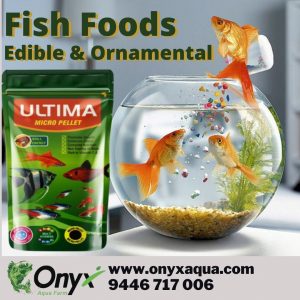 Onyx Aqua Farm For Aquarium and Pond Accessories