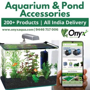 Onyx Aqua Farm For Aquarium and Pond Accessories