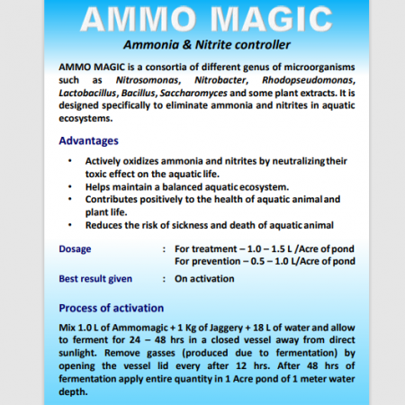 Ammo Magic Maple Orgtech