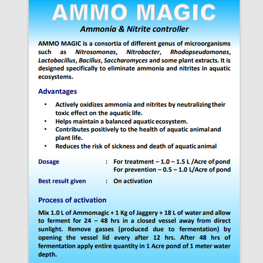Ammo Magic Maple Orgtech – 4