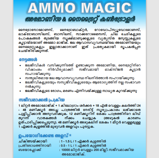 Ammo Magic Maple Orgtech – 5
