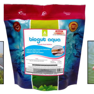 Biogut Aqua
