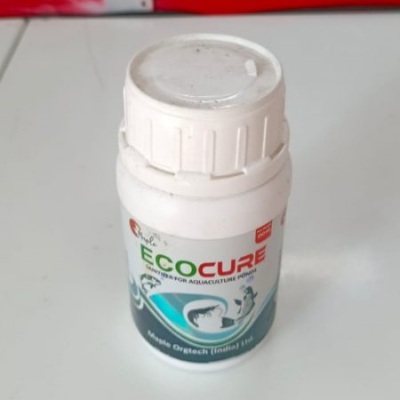 Eco Cure Maple Orgtech