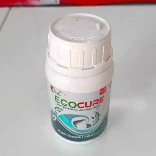 Eco Cure Maple Orgtech -1