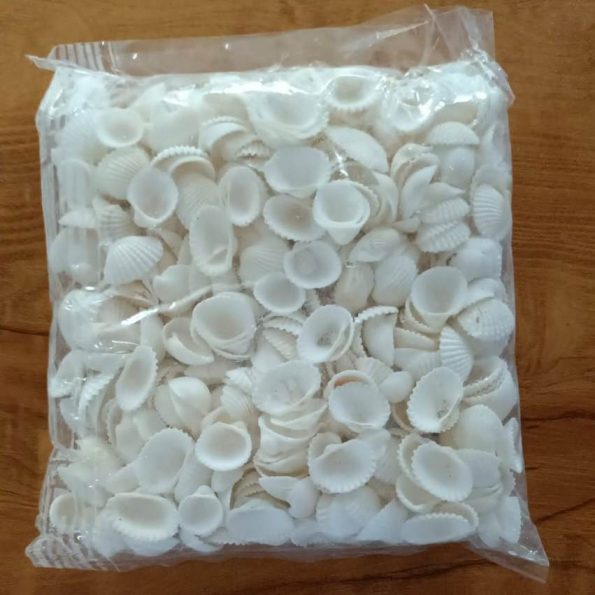 SHELL WHITE PACKET 500G – 1