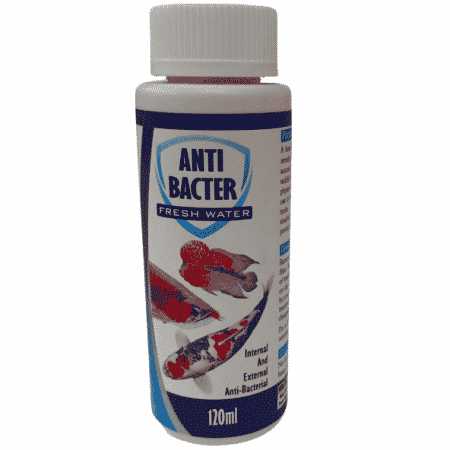 Champion Aqua Medic Anti Bacter 120 ml Fish Medicine