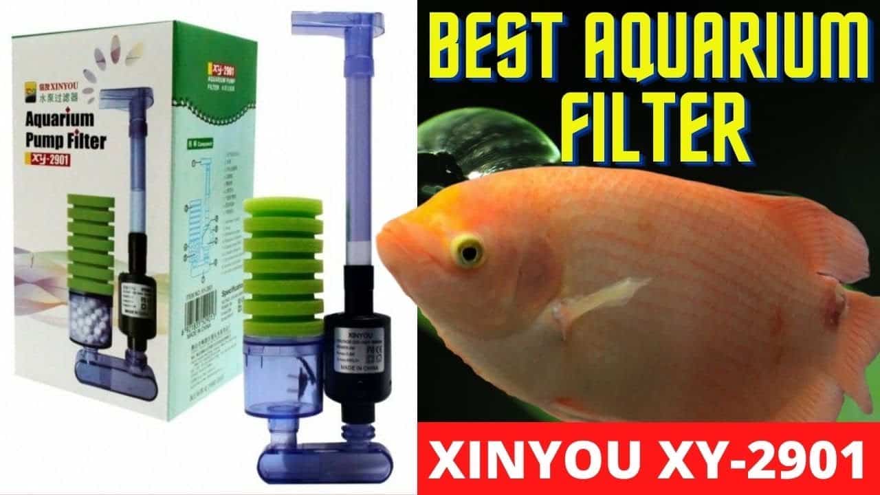 Best Aquarium Filter Xinyou XY 2901