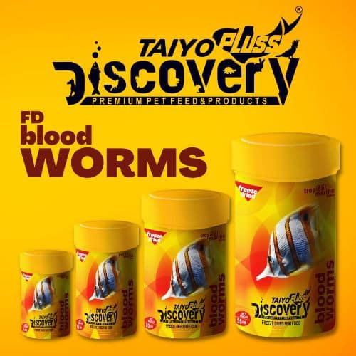 Taiyo Pluss Discovery Dried Blood Worms 10 gm 6